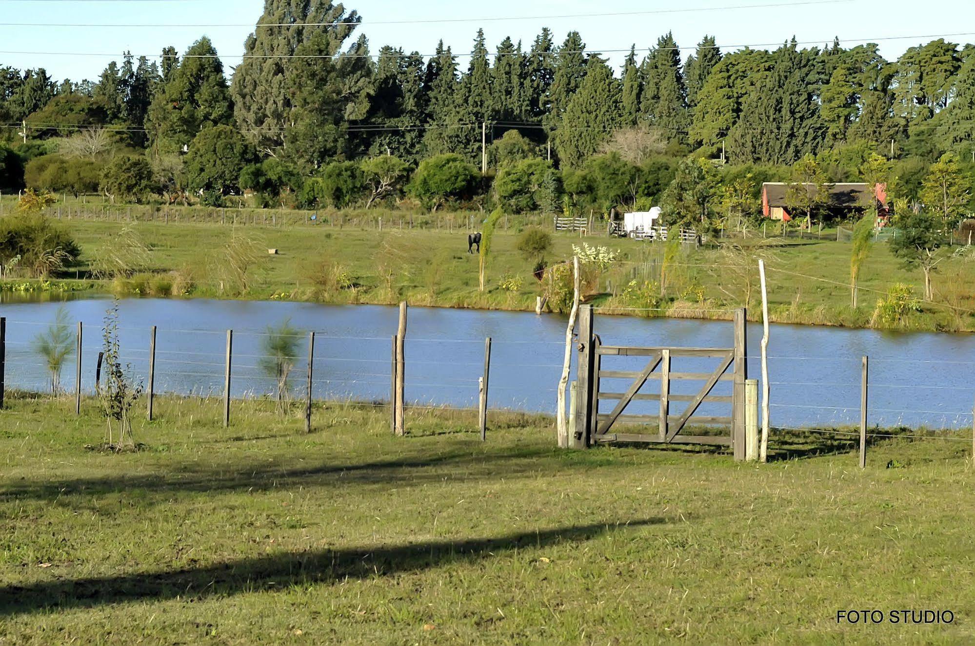Hotel La Castellana Paysandú Exteriör bild